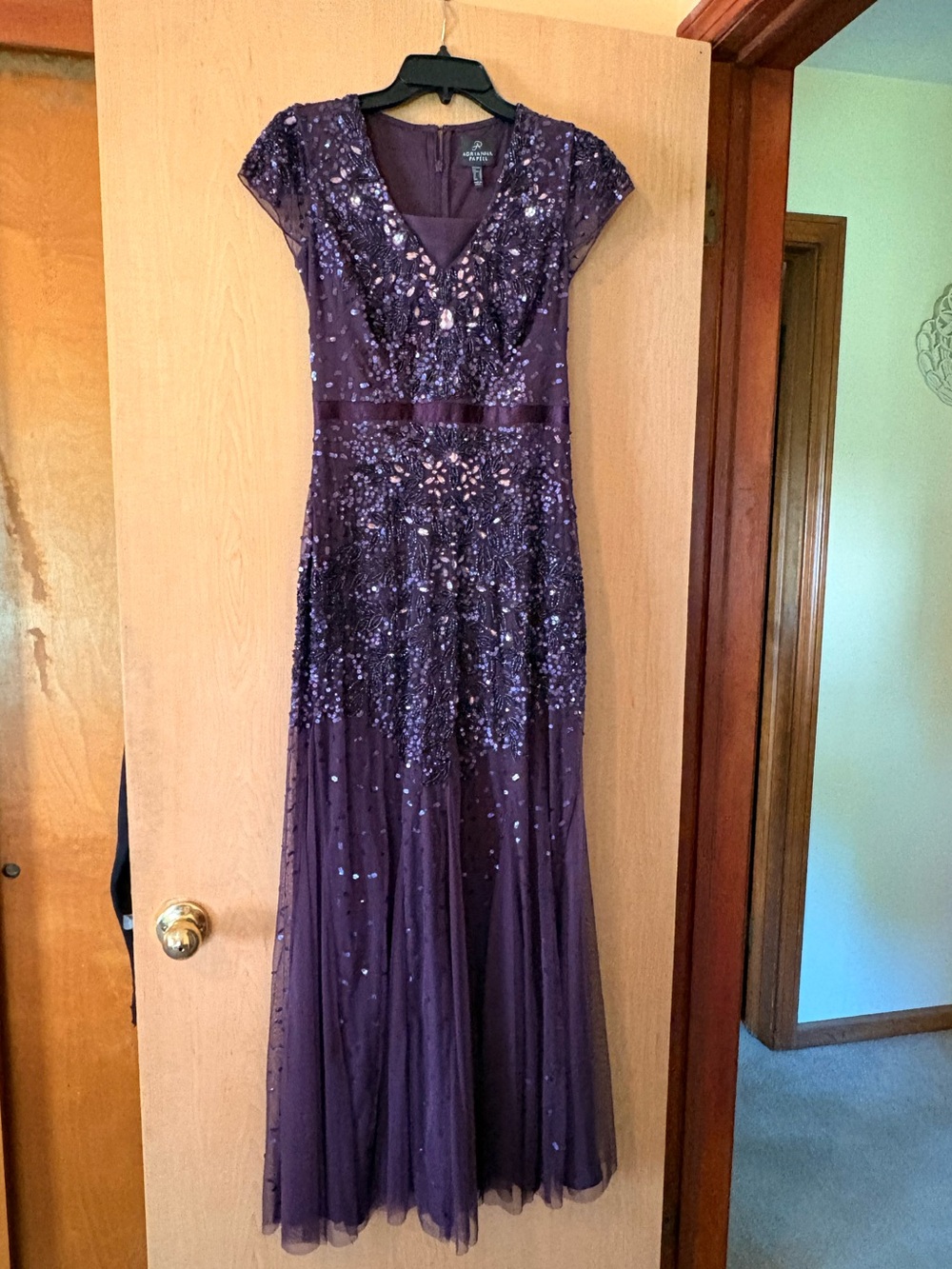 Adrianna Papell Deep Purple Beaded V-Neck Maxi Gown